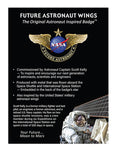 Future Astronaut Wings Bronze