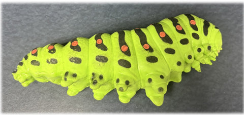 Caterpillar Rep-Pals